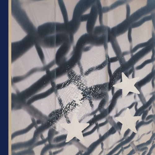 Blue Caged Bird