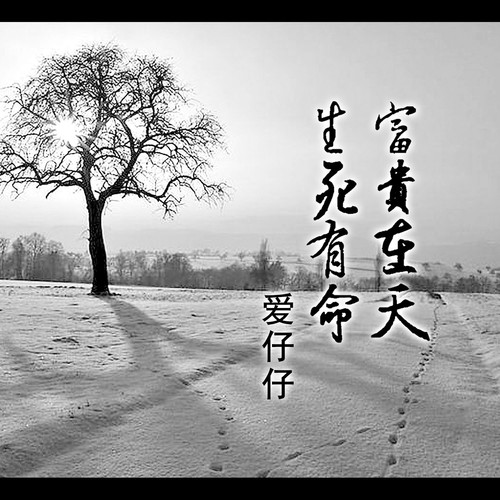 生死有命富贵在天