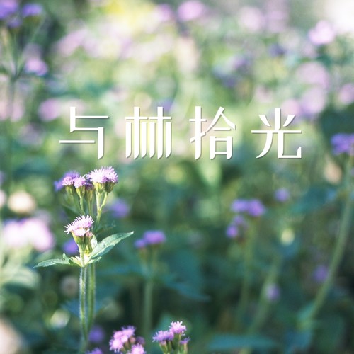 与林拾光