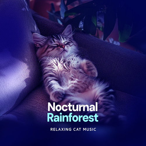 Nocturnal Rainforest