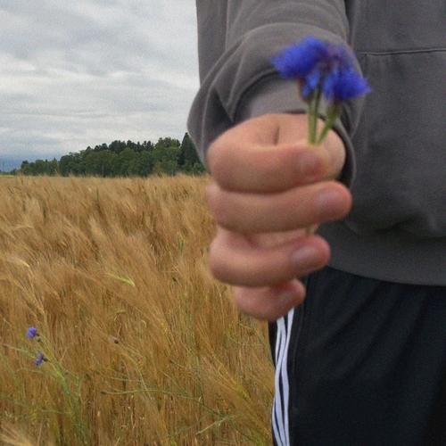 fOuR wALLs. tWo wInDoWs. yOu.