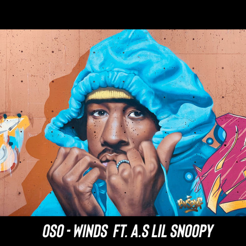 WINDS (Explicit)