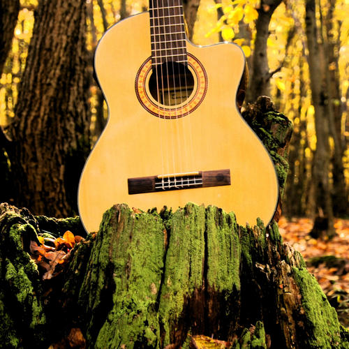 El Bolero (feat. Javier Curbelo) [Explicit]