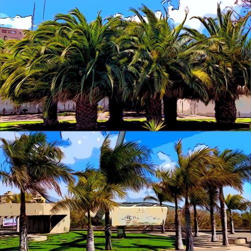 Verde Aprins (feat. Egris)