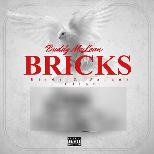 Bricks, Birds & Banana Clips