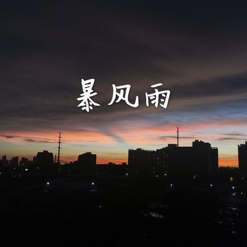 暴风雨-宋彬remix