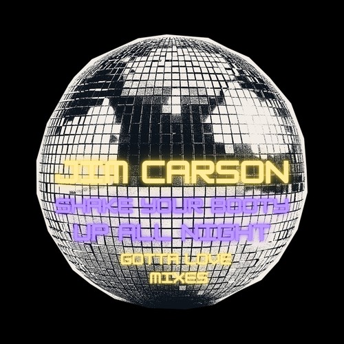 Shake Your Booty up All Night - Gotta Love Mixes