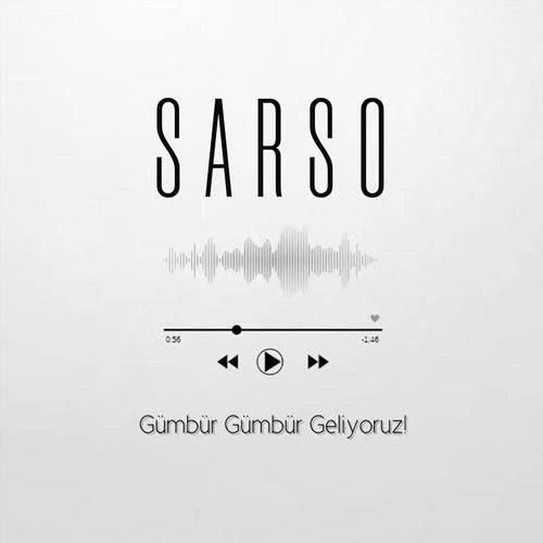 Gümbür Gümbür Geliyoruz! (Tamer Mandalinci)