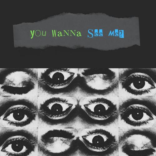 You Wanna See Me? (feat. Jeremy Fitzemeyer) [Explicit]
