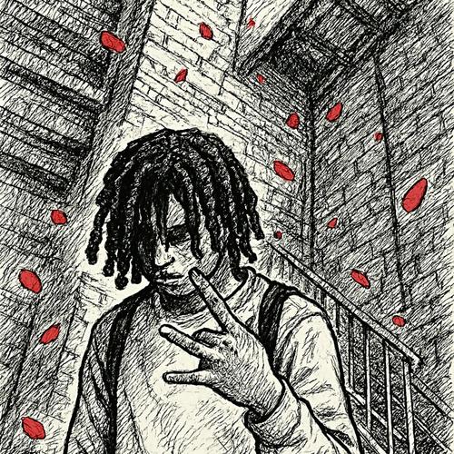 3RD CORNEA (Explicit)