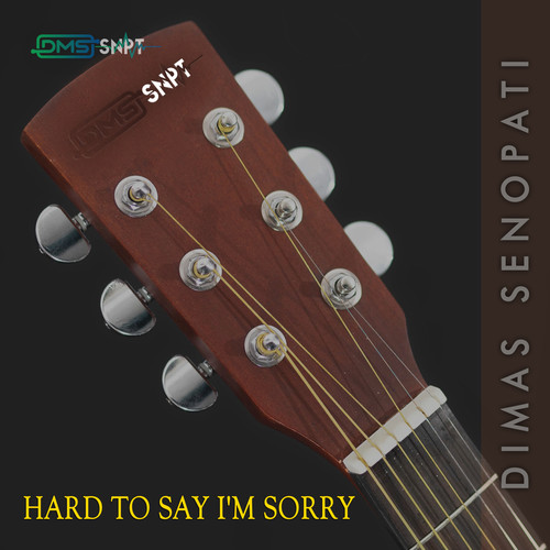 Hard to Say I'm Sorry