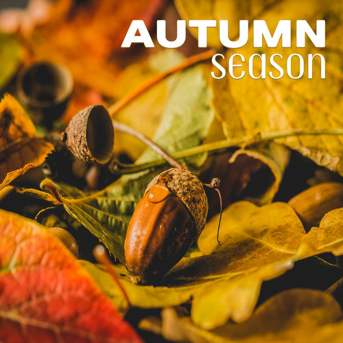 Autumn Season: When Days Become Shorter