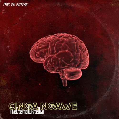 Cinga Ngawe