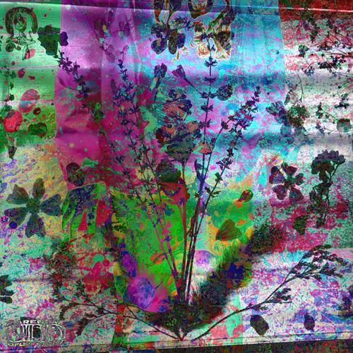 BDSM with .Wav files (feat. DJKillaC) [Explicit]