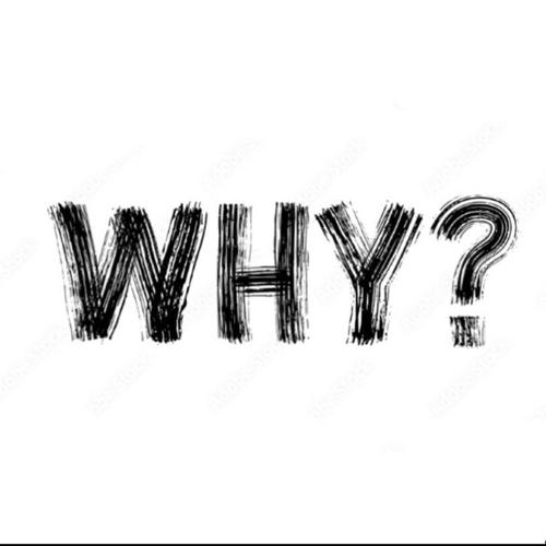 WHY? (Explicit)