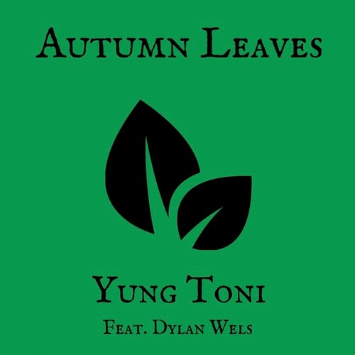 autumn leaves (feat. Dylan Wels)