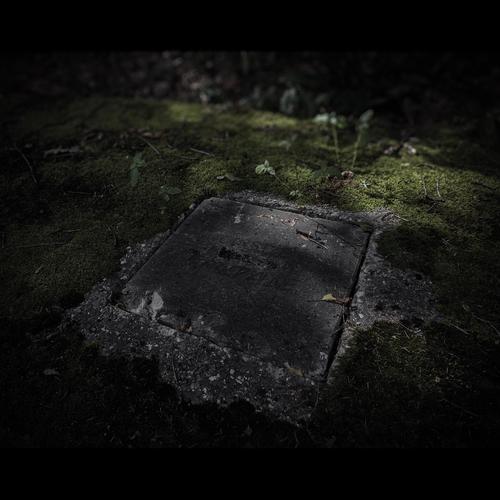 BURRIED ALIVE (feat. 더한글)