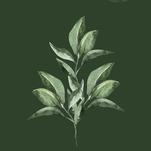 阴霾的天气（改编）