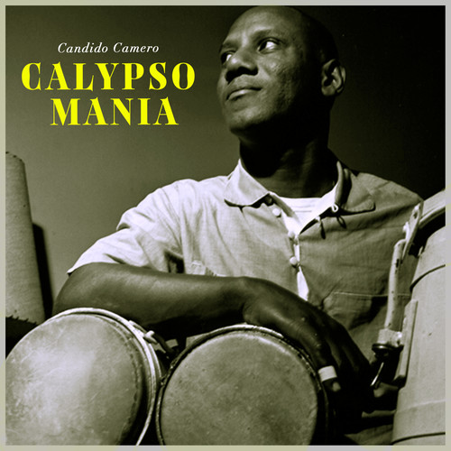 Calypso Mania