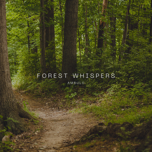 Forest Whispers