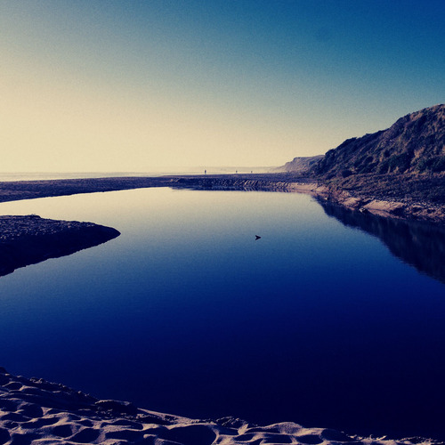 人靠银子虎靠林子