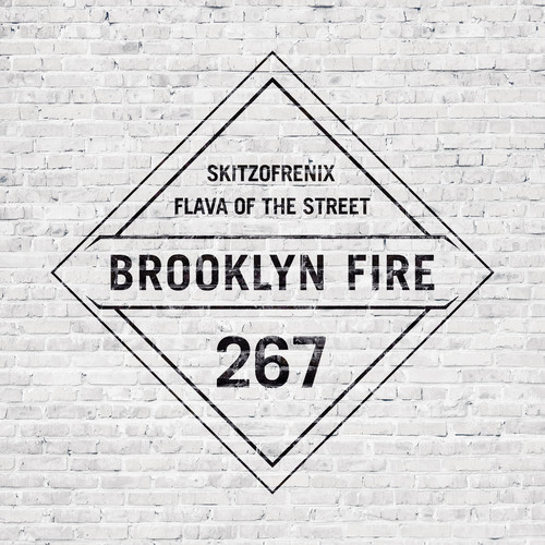 Flava of The Street