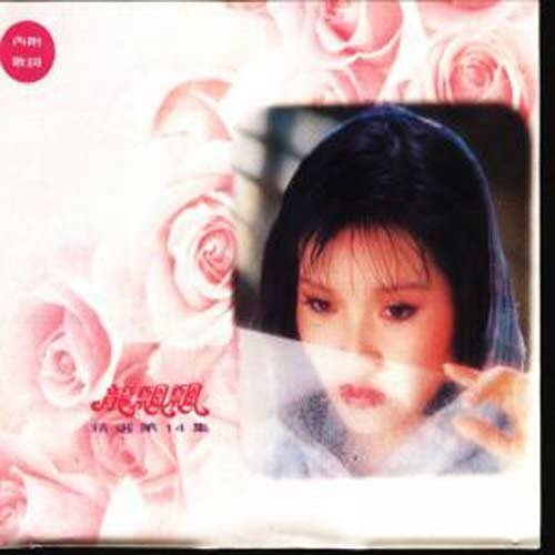 龙飘飘精选第十四集