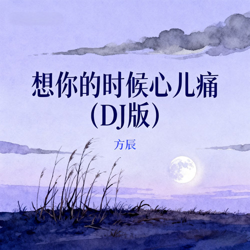 想你的时候心儿痛 (DJ版)