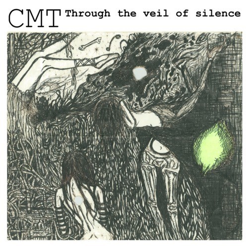 through the veil of silence