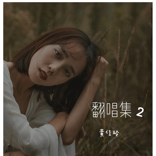 翻唱集2