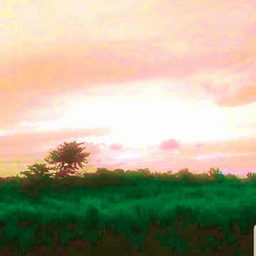 Shine Like Autumn Skies