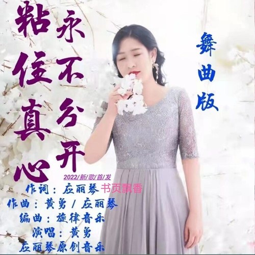 粘住真心永不分开（中四舞曲版）