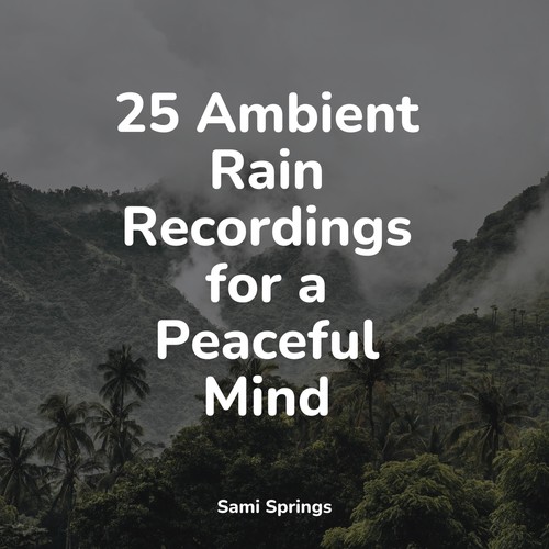 25 Sounds of Rain and Nature for Sleep