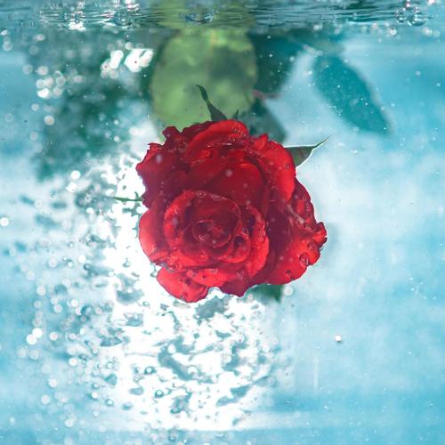 Submerge It (Explicit)