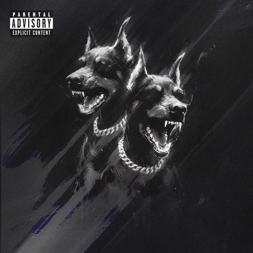 CANI RANDAGI (Explicit)