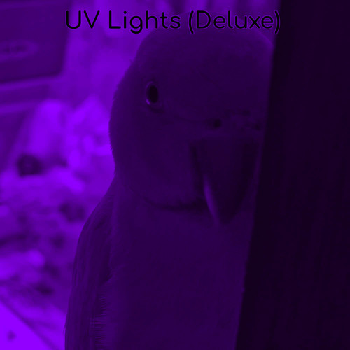 Uv Lights (Deluxe)