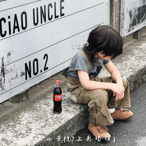 功夫小子 (DJ上头旋律)