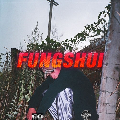 FUNGSHUI (Explicit)