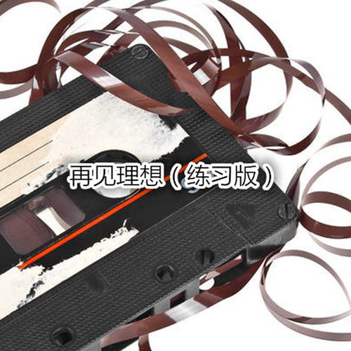 再见理想