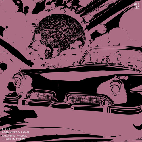 Companheiro Da Raposa