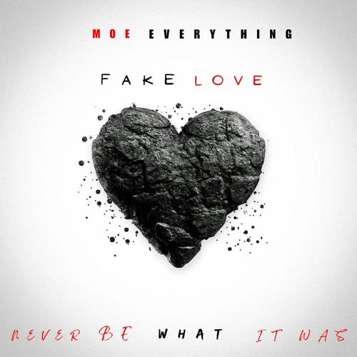Fake Love (feat. Ashley Nicole) [Explicit]