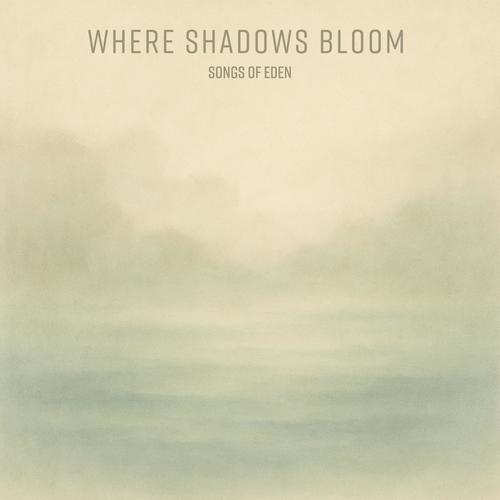 where shadows bloom