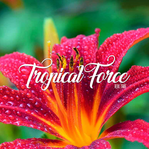 Tropical Force