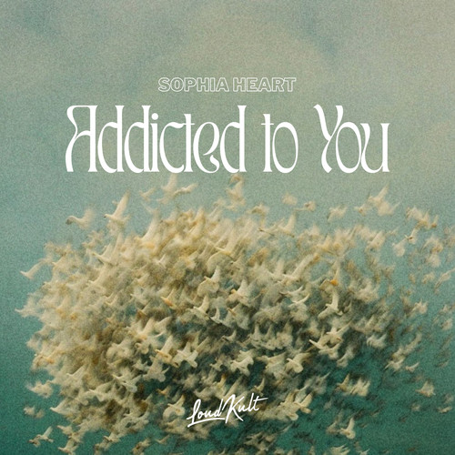 Addicted To You