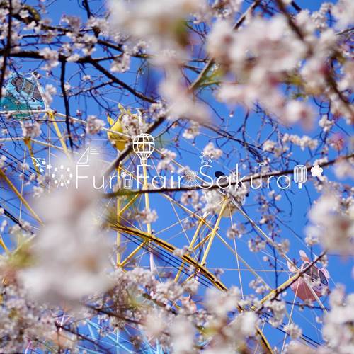 Fun Fair Sakura