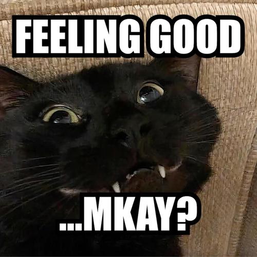 Feeling Good...mkay? (Explicit)