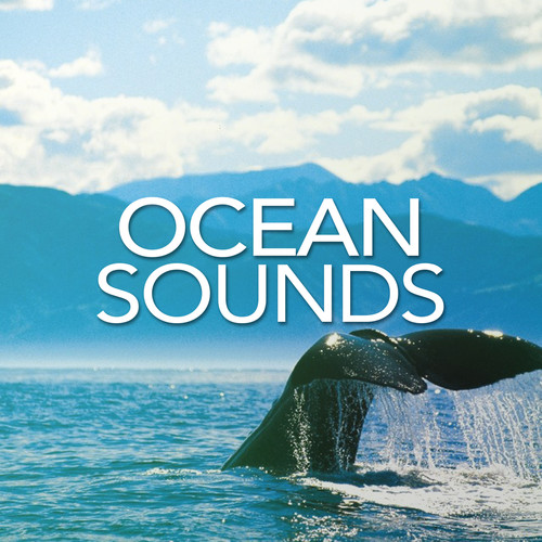 Ocean Sounds
