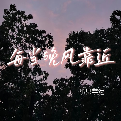 每当晚风靠近