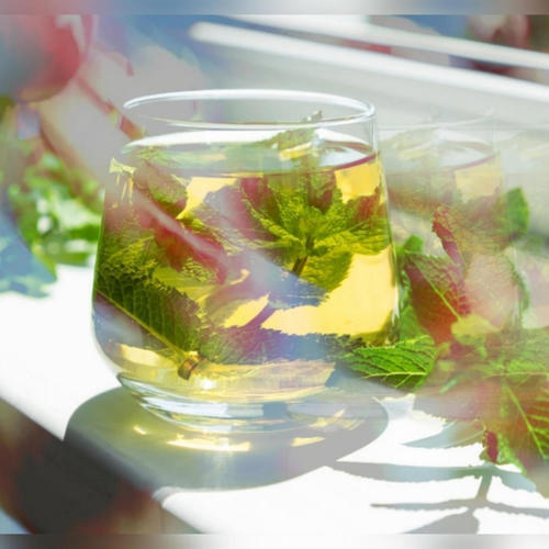 Peppermint Tea