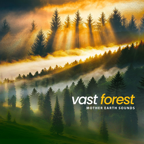 Vast Forest